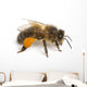 Western Honey Bee Right Side Wall Decal