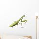 European Praying Mantis Wall Decal