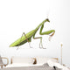 European Praying Mantis Wall Decal