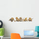 Central Bearded Dragons Wall Decal