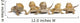 Central Bearded Dragons Wall Decal
