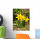 Yellow Daffodils Wall Decal