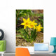 Yellow Daffodils Wall Decal