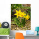 Yellow Daffodils Wall Decal