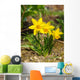 Yellow Daffodils Wall Decal