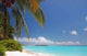 Paradise Beach Wall Decal