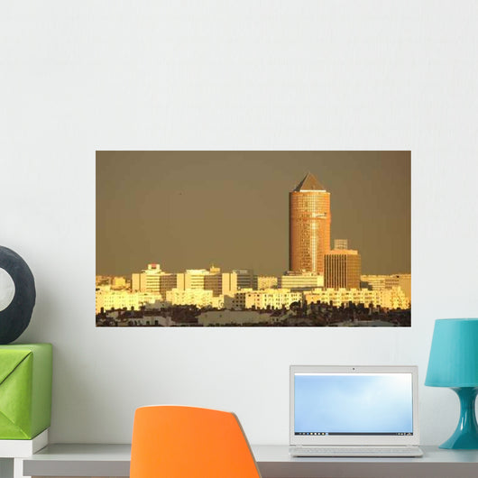 Panorama Lyon Wall Decal