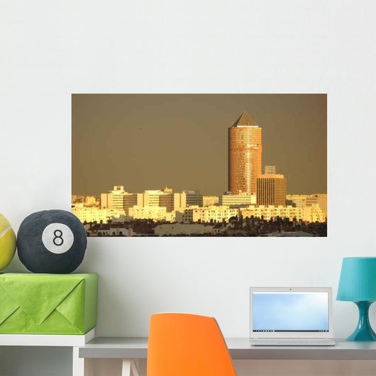 Panorama Lyon Wall Decal
