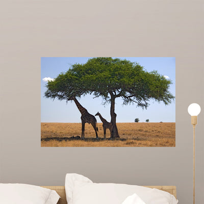 Animals 049 Giraffe Wall Decal shown on a wall