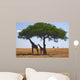 Animals 049 Giraffe Wall Decal