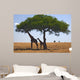 Animals 049 Giraffe Wall Decal
