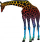 Giraffe Vector Abstract Rainbow Wall Decal