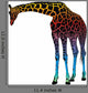 Giraffe Vector Abstract Rainbow Wall Decal