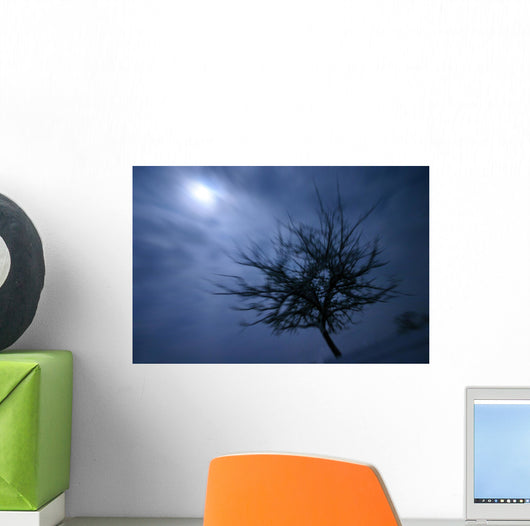 Scary Movie Wall Decal