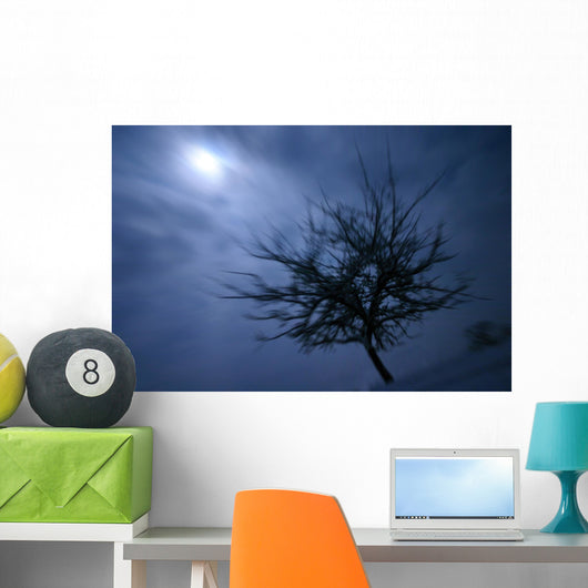 Scary Movie Wall Decal