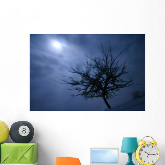 Scary Movie Wall Decal