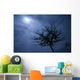 Scary Movie Wall Decal