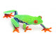 Red Eye Treefrog Wall Decal