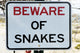 Beware Snakes Wall Decal