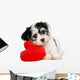 Havanese Puppy With Red Wall Decal