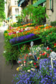 Colorful Sidewalk Flower Stand Wall Decal