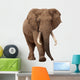 African Elephant White Wall Decal