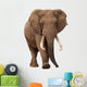 African Elephant White Wall Decal