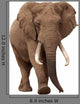 African Elephant White Wall Decal
