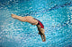 Dip Pool Wall Decal