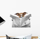 Dog Reading Newspaper Wall Decal