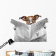 Dog Reading Newspaper Wall Decal