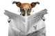 Dog in Glasses Reading Newspaper - Mini Wall Decal