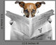 Dog in Glasses Reading Newspaper - Mini Wall Decal