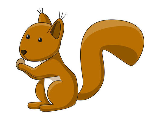 Cute Squirrel Wall Decal