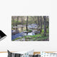 Rio Ramacastaa As Wall Decal
