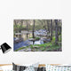 Rio Ramacastaa As Wall Decal