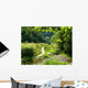 Old Path And River Wall Decal