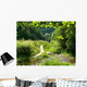 Old Path And River Wall Decal