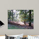 Autumn Light Wall Decal