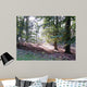 Autumn Light Wall Decal