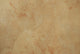 Earthenware Wall Decal