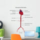 Structure Aorta Vector Illustration Wall Decal