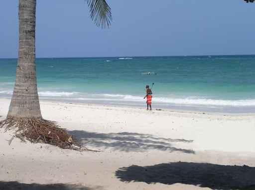 Mombasa Beach Wall Decal