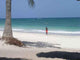 Mombasa Beach Wall Decal