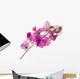 sweet pea Wall Decal