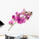 sweet pea Wall Decal