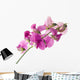 sweet pea Wall Decal