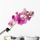 sweet pea Wall Decal