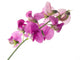 sweet pea Wall Decal