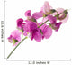 sweet pea Wall Decal
